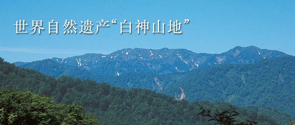 The Shirakami Mountains, a UNESCO World Heritage Site